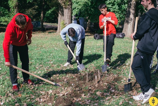 Высадка деревьев на поляне Физфака совместно с Ростовским строительным колледжем