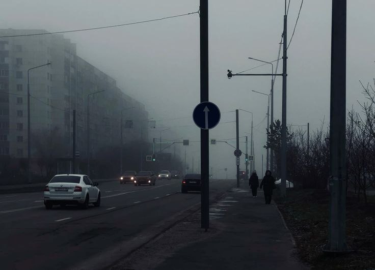 Алые розы на фоне сине-чёрных пятен: история одной трусости